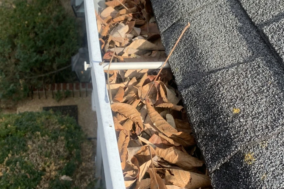 Ridgewood Gutter Cleaning